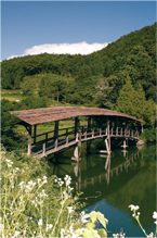 弓削神社の太鼓橋